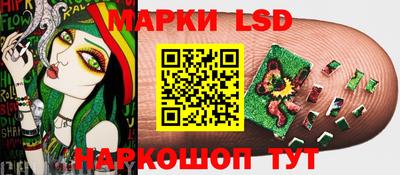 сатива Беслан