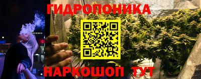 эйфоретик Бийск