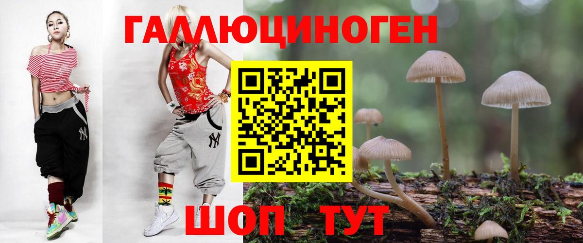 Псилоцибиновые грибы MAGIC MUSHROOMS  Галлюциногенные грибы прущие грибы  наркотики  Вход с VPN  Кингисепп 