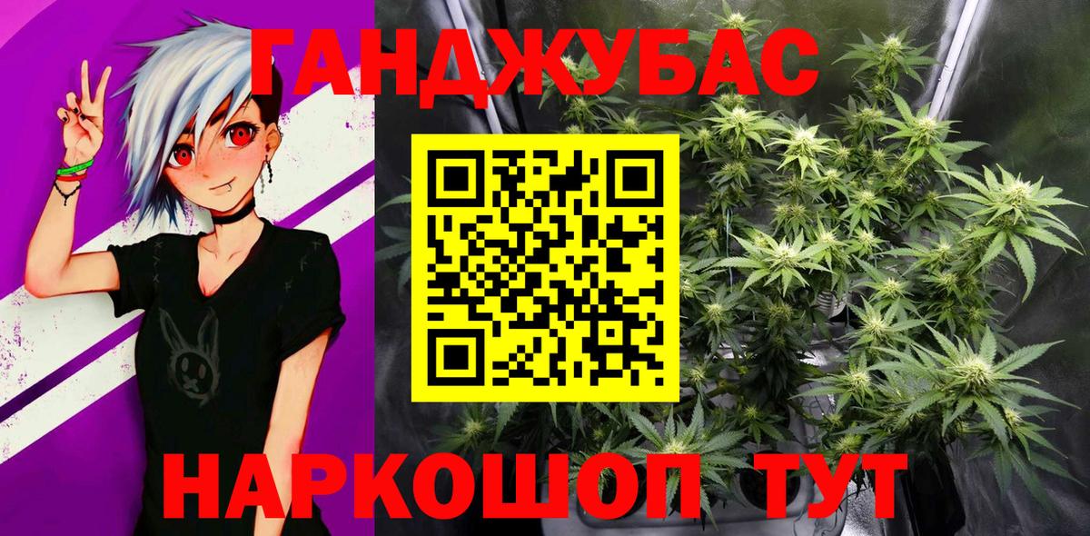 Канабис сатива Кингисепп